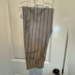 Champro Adult Small Gray Pinstripe Baseball Pants NWT